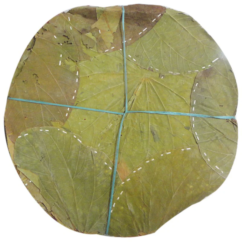 Traditional stitched leaf plate showing craftsmanship